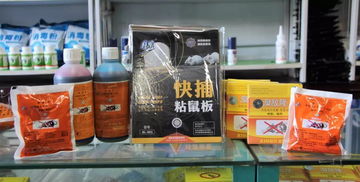 維潔消毒用品經(jīng)營部給全市人民拜年啦 專業(yè)消毒服務(wù)守護(hù)萬家安康